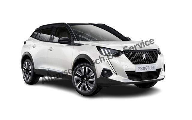 Trabzon Peugeot Servisi Tamir Desteği